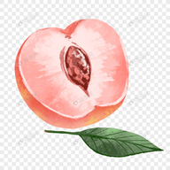 WWW,se400·COM网站APPAPP应用