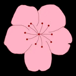 WWW,se821·COM网站APP